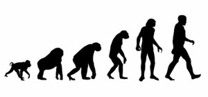 evolution closer to a monkey monkey